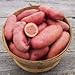 Photo Seed Potatoes for Planting French Fingerling 5lbs. new bestseller 2024-2023