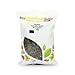 Photo Buy Whole Foods Organic Pumpkin Seeds (European) (1kg) new bestseller 2024-2023