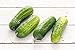 Photo Boston Pickling Cucumber Seeds, 100 Heirloom Seeds Per Packet, Non GMO Seeds, Isla's Garden Seeds new bestseller 2024-2023