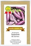 Aubergine - mittelspät - aus Griechenland - Tsakoniki - 80 Samen Foto, Bestseller 2024-2023 neu, bester Preis 2,29 € Rezension