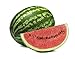 Photo Crimson Sweet Watermelon Seeds - Non-GMO - 3 Grams new bestseller 2024-2023