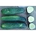 Photo County Fair F1 Hybrid Cucumber Seeds (40 Seed Pack) new bestseller 2024-2023