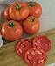 Photo Burpee 'Super Beefsteak' | Red Beefsteak Slicing Tomato | 175 Seeds new bestseller 2024-2023