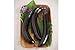 Photo David's Garden Seeds Eggplant Orient Express (Purple) 25 Non-GMO, Hybrid Seeds new bestseller 2024-2023