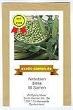 Wintererbse - Sima - 50 Samen Foto, Bestseller 2025-2024 neu, bester Preis 2,19 € (0,04 € / stück) Rezension