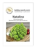 Kohlsamen Natalino Romanesco Portion Foto, Bestseller 2024-2023 neu, bester Preis 1,95 € Rezension