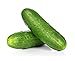 Photo Spacemaster Cucumber Seeds, 100+ Heirloom Seeds Per Packet, (Isla's Garden Seeds), Non GMO Seeds, Botanical Name: Cucumis sativus, 85% Germination Rates new bestseller 2024-2023