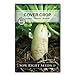 Photo Sow Right Seeds - Driller Daikon Radish Seed for Planting - Cover Crops to Plant in Your Home Vegetable Garden - Enriches Soil - Suppresses Weeds - Non-GMO Heirloom Seeds - A Great Gardening Gift new bestseller 2024-2023