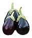 Photo Burpee Early Midnight Eggplant Seeds 35 seeds new bestseller 2024-2023