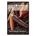 Photo Sow Right Seeds - Rainbow Mix Carrot Seed for Planting - Non-GMO Heirloom Packet with Instructions to Plant a Home Vegetable Garden, Great Gardening Gift (1) new bestseller 2024-2023