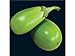 Photo 25 APPLEGREEN EGGPLANT Green Fruit / Vegetable Solanum Melongena Seeds new bestseller 2024-2023