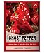 Photo Ghost Pepper Seeds for Planting Spicy Hot - Heirloom Non-GMO Hot Pepper Seeds for Home Garden Vegetables Makes a Great Plant Gift for Gardening by Gardeners Basics new bestseller 2024-2023