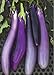 Photo David's Garden Seeds Eggplant Ping Tung Long 7333 (Purple) 50 Non-GMO, Heirloom Seeds new bestseller 2024-2023