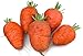 Photo Oxheart Carrot 200 Seeds #8136 Item Upc#650348691721 new bestseller 2024-2023