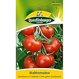 Tomate, Harzfeuer F1 Foto, Bestseller 2025-2024 neu, bester Preis 2,77 € (0,14 € / stück) Rezension