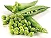 Photo Non-GMO, Pea Seeds, 130 Seeds, Bend and Snap Pea new bestseller 2024-2023