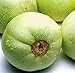 Photo Sweet Melon Seeds (CHK) (Japanese New Mini Honeydew, 30 Seeds) new bestseller 2024-2023