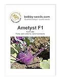 Kohlsamen Ametyst F1 Kohlrabi Portion Foto, Bestseller 2024-2023 neu, bester Preis 1,95 € Rezension