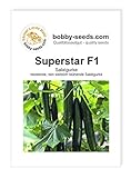 Gurkensamen Superstar F1 Gewächshausgurke Portion Foto, Bestseller 2025-2024 neu, bester Preis 2,75 € Rezension