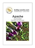 Zwiebelsamen Apache rote Lauchzwiebel Portion Foto, Bestseller 2024-2023 neu, bester Preis 1,75 € Rezension