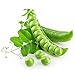 Photo Earthcare Seeds Pea Alaska Early Spring Bush 100 Seeds (Pisum sativum) - Heirloom - Open Pollinated - Non GMO - Earthcare Seeds new bestseller 2024-2023