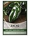 Photo Ancho Poblano Pepper Seeds for Planting Heirloom Non-GMO Ancho Peppers Plant Seeds for Home Garden Vegetables Makes a Great Gift for Gardening by Gardeners Basics new bestseller 2024-2023