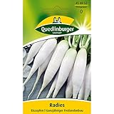 Quedlinburger Radies 'Eiszapfen', 1 Tüte Samen Foto, Bestseller 2025-2024 neu, bester Preis 1,59 € (530,00 € / kg) Rezension