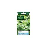 Vilmorin - Sachet graines Menthe poivrée Photo, best-seller 2025-2024 nouveau, meilleur prix 5,85 € examen