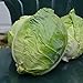 Photo Danish Ballhead Cabbage - 100 Seeds - Heirloom & Open-Pollinated Variety, Non-GMO Vegetable Seeds for Planting Outdoors in The Home Garden, Thresh Seed Company new bestseller 2024-2023