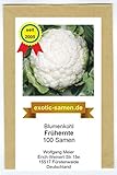 Blumenkohl - Frühernte - 100 Samen Foto, Bestseller 2025-2024 neu, bester Preis 1,80 € Rezension