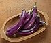 Photo David's Garden Seeds Eggplant Asian Delite (Purple) 25 Non-GMO, Hybrid Seeds new bestseller 2024-2023