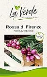 Lunga di Firenze Zwiebelsamen Foto, Bestseller 2024-2023 neu, bester Preis 2,95 € Rezension