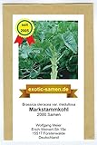 Markstammkohl - vergessenes Gemüse - Brassica oleracea - 2000 Samen Foto, Bestseller 2025-2024 neu, bester Preis 1,95 € Rezension