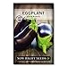 Photo Sow Right Seeds - Black Beauty Eggplant Seed for Planting - Non-GMO Heirloom Packet with Instructions to Plant an Outdoor Home Vegetable Garden - Great Gardening Gift (1) new bestseller 2024-2023