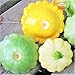 Photo TomorrowSeeds - 3 Colors Mix Patty Pan Squash Seeds - 20+ Count Packet - Yellow, Green Tint, White Bush Scallop Summer Patisson Scallopini new bestseller 2024-2023