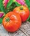 Photo Burpee Better Boy Hybrid Large Slicing Red Variety Non-GMO Vegetable Planting | Disease-Resistant Tomato for Garden, 30 Seeds new bestseller 2024-2023