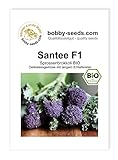 BIO-Kohlsamen Santee F1 Sprossenbrokkoli Portion Foto, Bestseller 2024-2023 neu, bester Preis 3,45 € Rezension