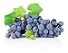 Photo Homegrown Non GMO Grape Seeds, Bulk Seeds, Concord (20) new bestseller 2024-2023