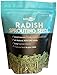 Photo Radish Sprouting Seeds | Non GMO | Grown in USA | (1 Pound) new bestseller 2024-2023