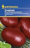 Kiepenkerl Zwiebeln Braunschweiger Foto, Bestseller 2024-2023 neu, bester Preis 2,29 € Rezension