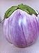 Photo Rosa Bianca Eggplant Seeds- Heirloom- 100+ Seeds new bestseller 2024-2023