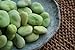 Photo Broad Windsor Pole Fava Bean Seeds - Non-GMO new bestseller 2024-2023