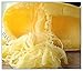 Photo Instant Latch 20 Spaghetti Squash Seeds | Non-GMO | Fresh Garden Seeds new bestseller 2024-2023