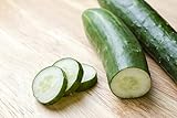 Burpless #26 Hybrid Cucumber Seeds Photo, bestseller 2024-2023 new, best price $5.99 review