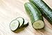 Photo Burpless #26 Hybrid Cucumber Seeds new bestseller 2024-2023