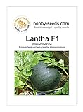 Melonensamen Lantha F1 Wassermelone Portion Foto, Bestseller 2025-2024 neu, bester Preis 2,75 € Rezension