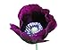 Photo 3000 Seeds of Lauren’s Grape Somniferum Poppy Seeds new bestseller 2024-2023