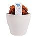 Photo Costa Farms, Premium Live Indoor Desert Gems Orange Cacti, Tabletop Plant, White Gloss Euro Ceramic Decorator Pot, Shipped Fresh From Our Farm, Excellent Gift new bestseller 2025-2024