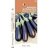 France Graines - Aubergine de Barbentane Photo, best-seller 2024-2023 nouveau, meilleur prix 4,95 € examen