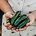 Photo Nadapeno Jalapeno Pepper - 25 Seeds - Heirloom & Open-Pollinated Variety, Non-GMO Vegetable Seeds for Planting in The Home Garden, Thresh Seed Company new bestseller 2024-2023